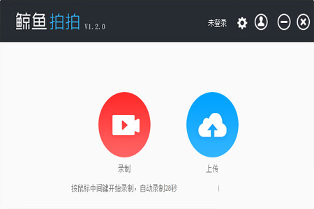 鲸鱼拍拍